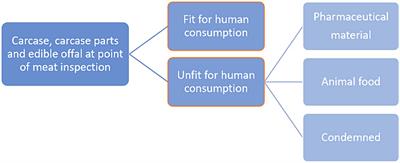 Quantifying pre-consumer food and nutrient losses from the Australian lamb and sheep meat value chain: a case study